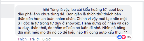 Sơn Tùng,  sao việt